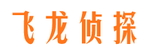 柳林侦探